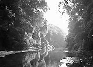 Tensas River