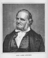 Portait d'Audubon