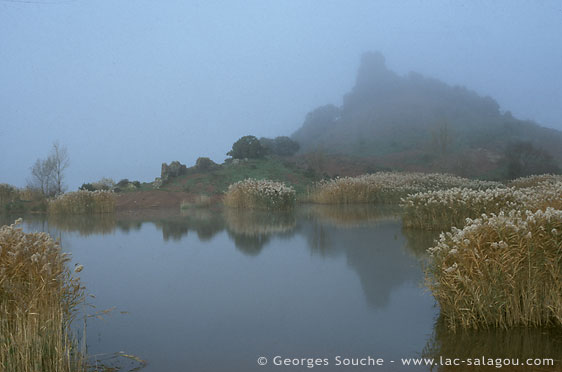 La Roque Sarrasine dans la brume